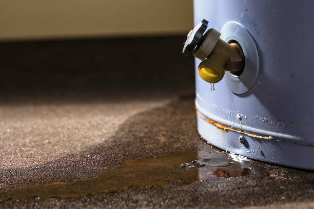 Best Water damage mitigation services  in Elliston, VA