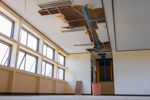 Best Mold removal after water damage  in Elliston, VA
