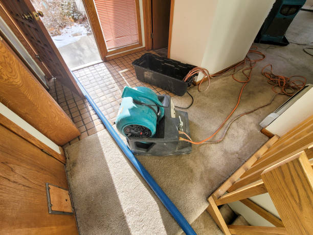 Best 24-hour water damage restoration  in Elliston, VA