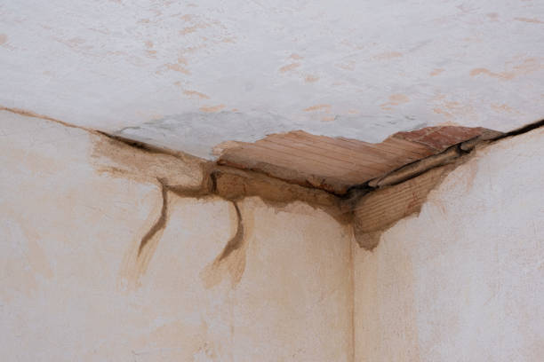 Best Commercial water damage restoration  in Elliston, VA