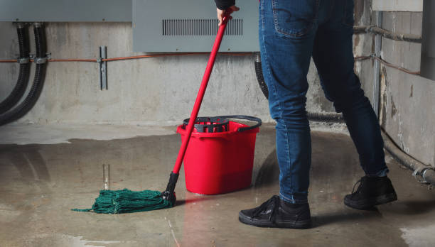 Best Water damage contractors near me  in Elliston, VA