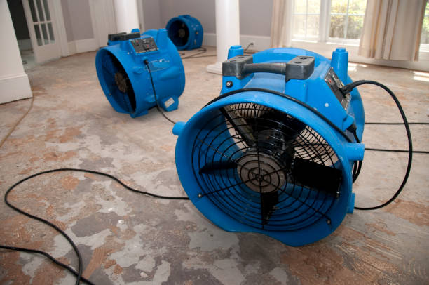 Reliable Elliston, VA Water damage restoration Solutions