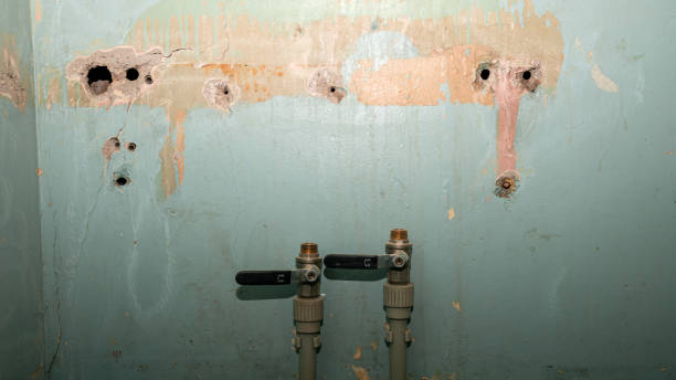 Best Water damage restoration near me  in Elliston, VA