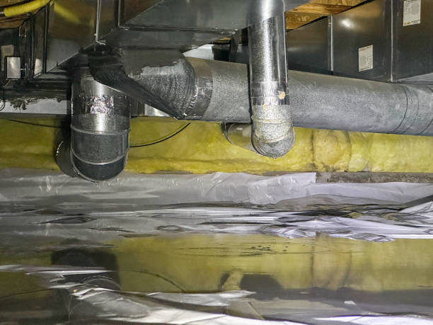 Best Carpet water damage restoration  in Elliston, VA