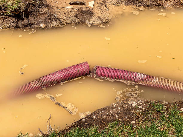 Best Emergency water damage restoration  in Elliston, VA